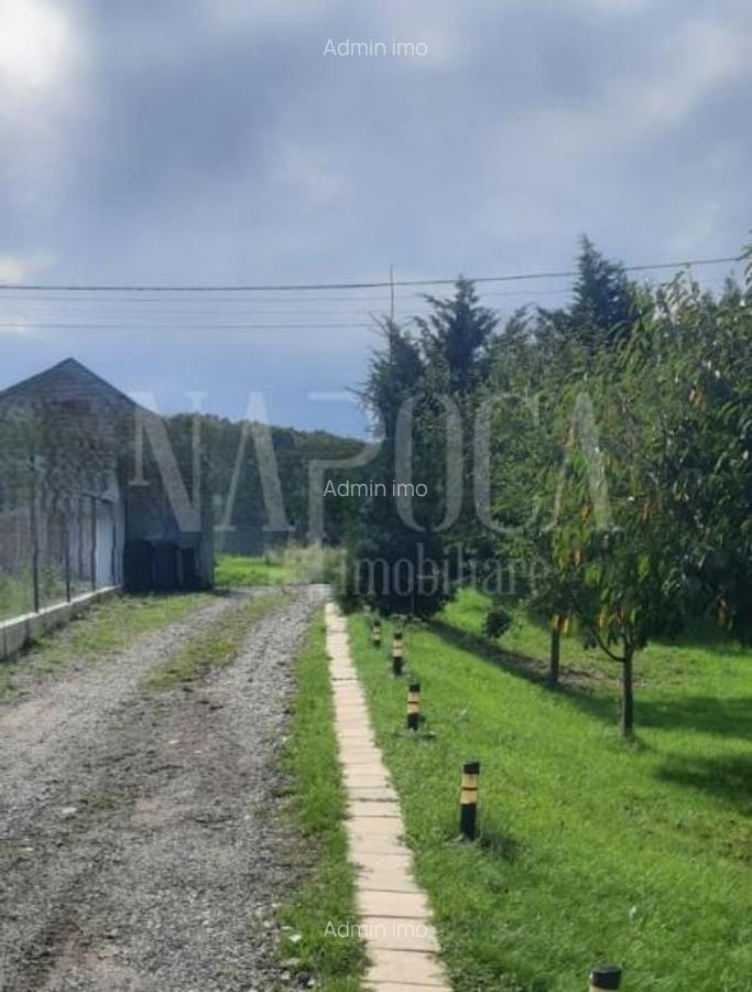 Casa 4 camere de vanzare in Salicea - 6