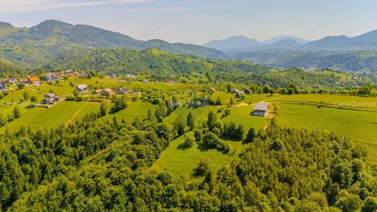 Teren extravilan 2,000mp Pestera / cabana vacanta/natura - 8