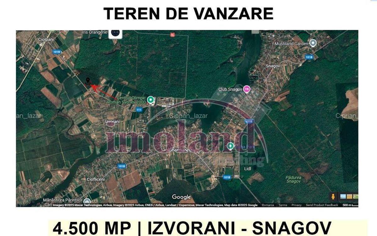 Teren intravilan - 4500 mp - Izvorani - Padurea Snagov - 3