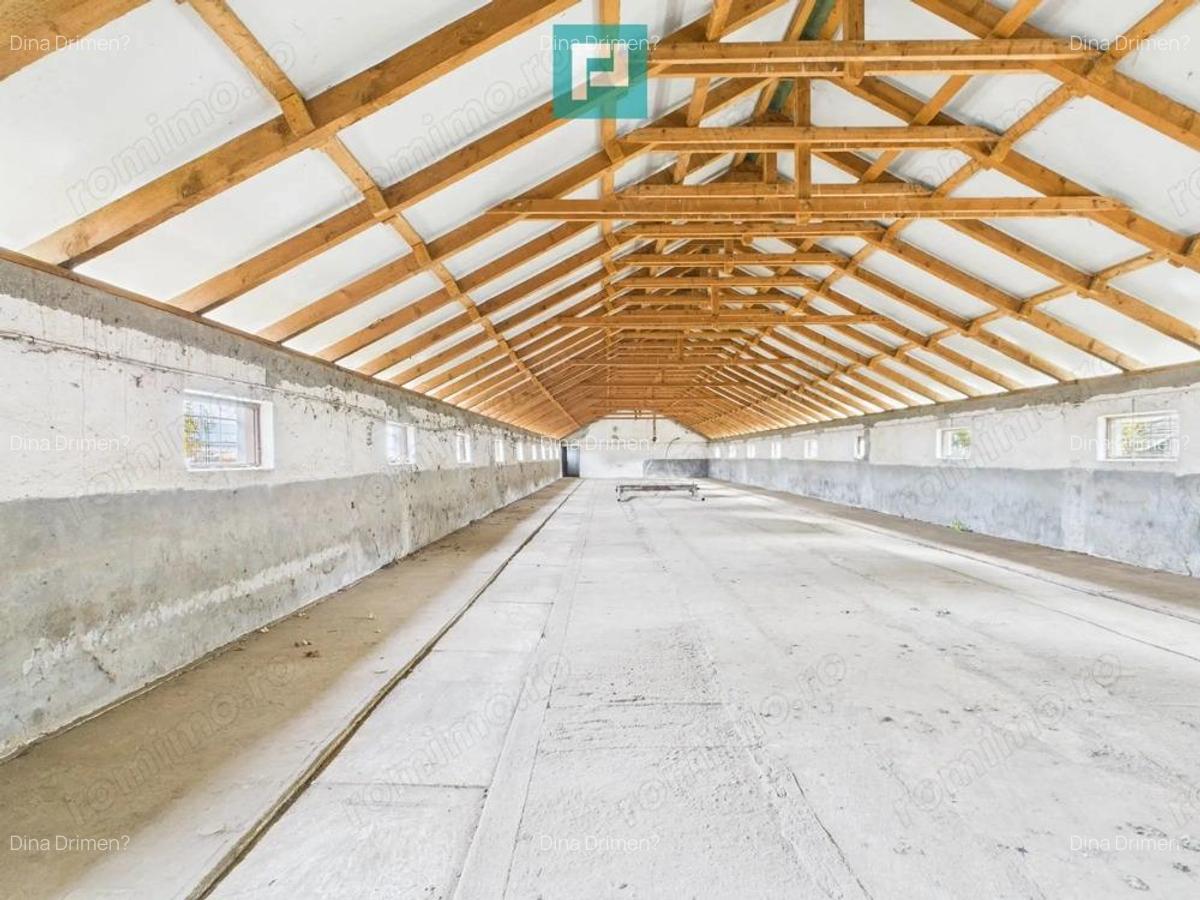 Hala pentru produc?ie / ferma zootehnica - Varia? - 13