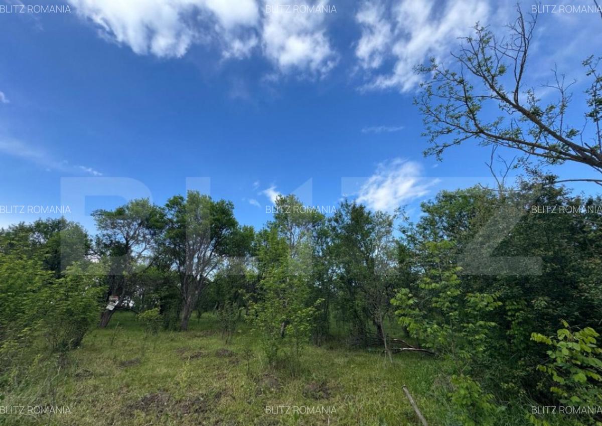 Teren extravilan de vanzare, 6000 mp, zona Hateg - 2