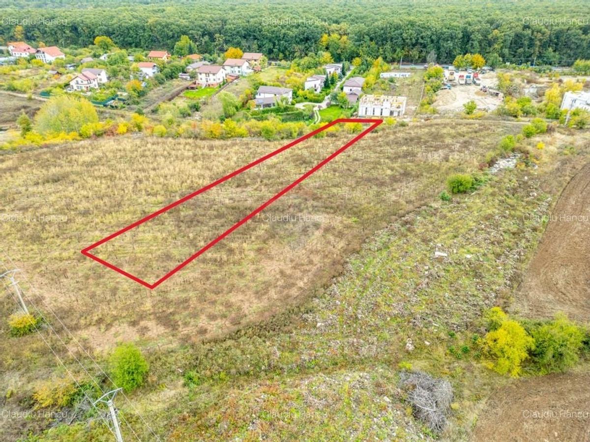 Teren 3000 mp in Snagov - zona in dezvoltare, aproape de padure - 12