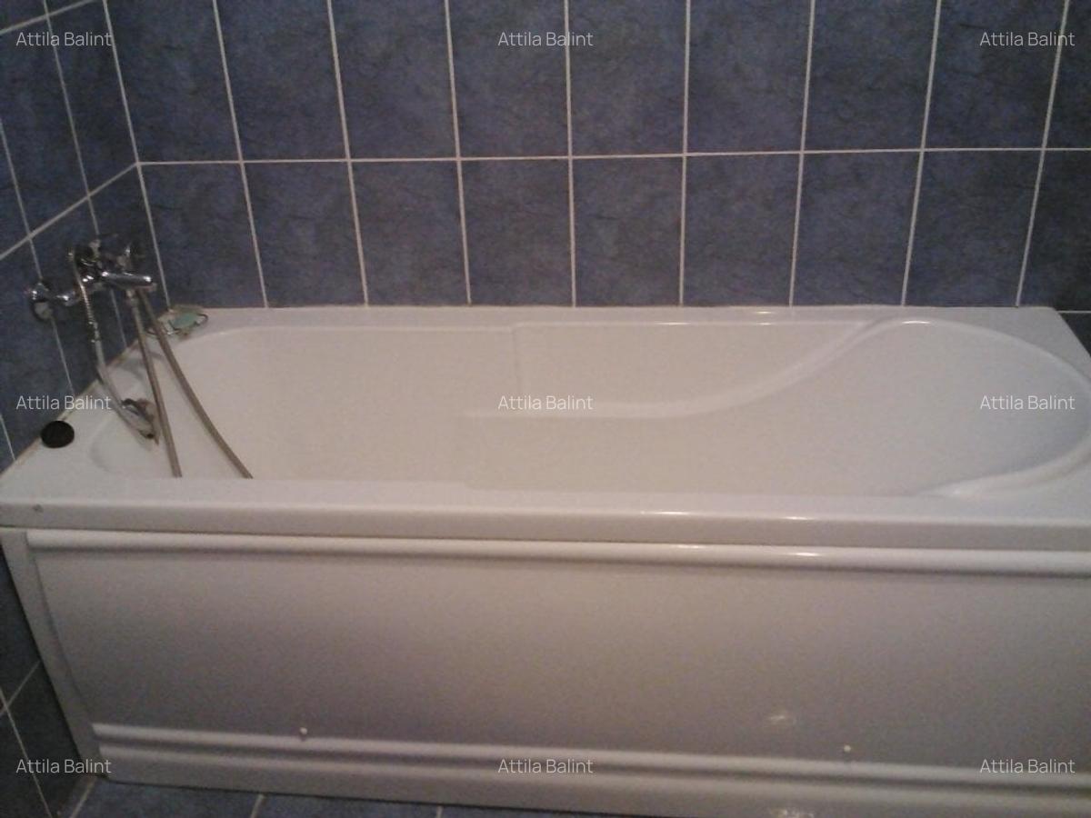 Lipovei- Pizzeria Thalia 2 cam 350 euro - 11