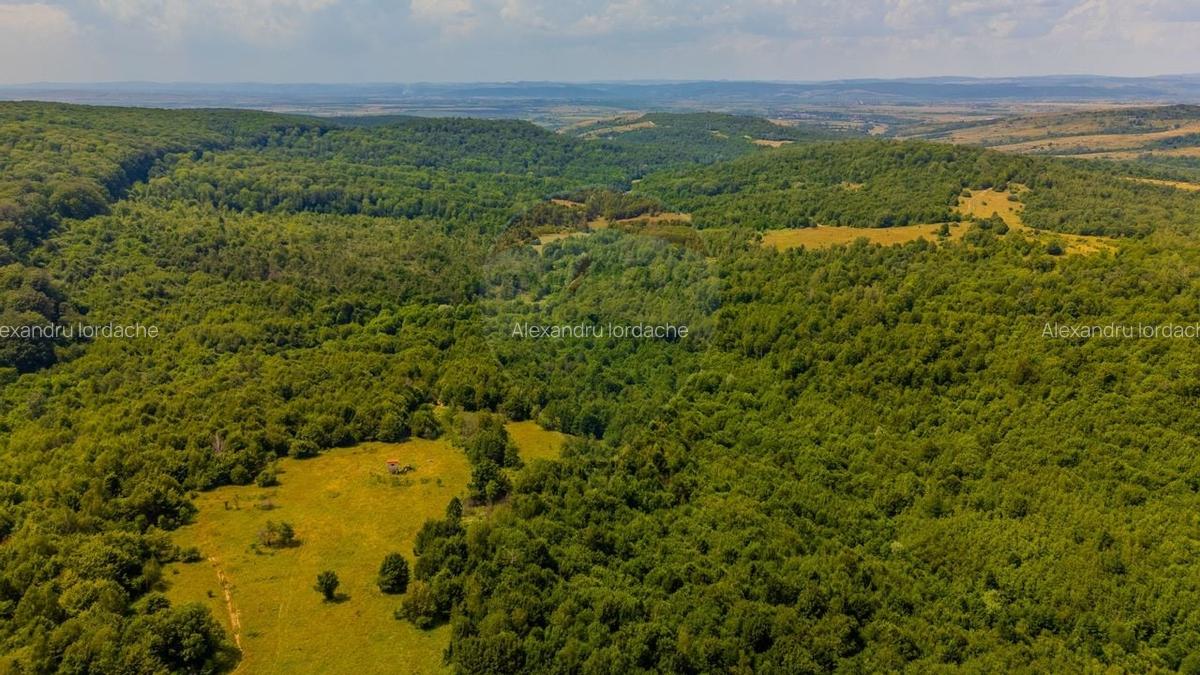 Teren intravilan de 1551 mp, în Grid - 14