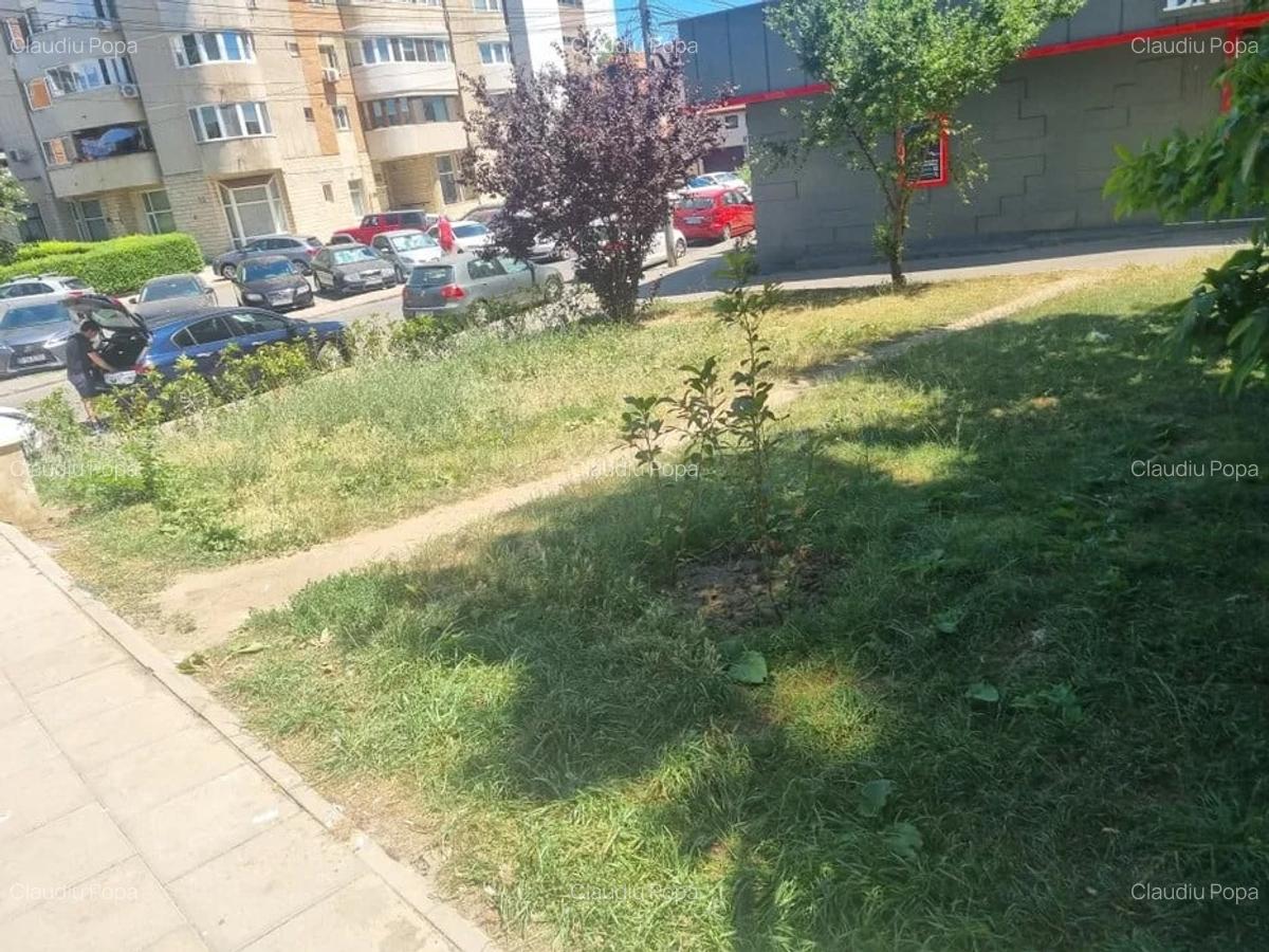 TEREN 250MP  |  CENTRAL  |  B-DUL MAMAIA - 3