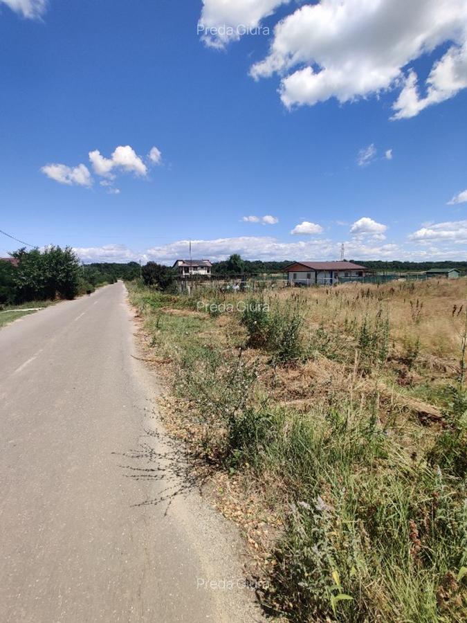 Teren, Pădurea Scrovistea - 5