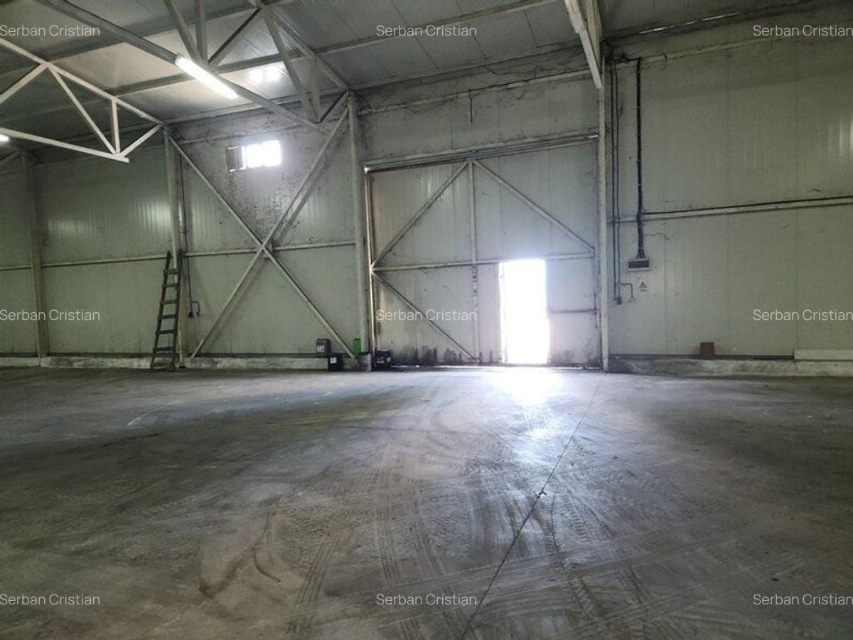 Centura Stefanesti hala productie /depozitare 776 mp - 7