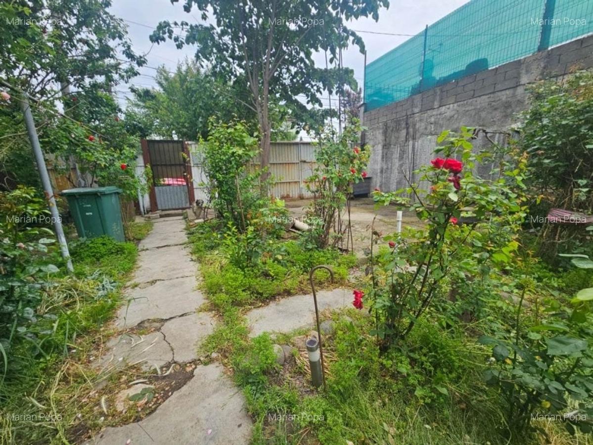 Vanzare casa individuala Bucurestii Noi - Laminorului - 4