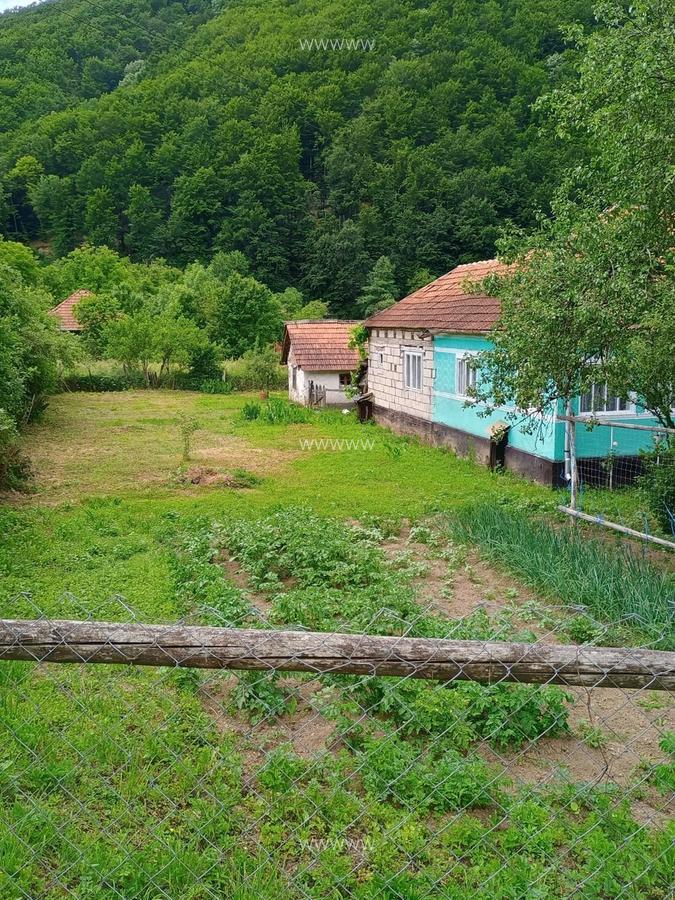 Casa ,anexe ,teren , sat Micanesti,comuna Zam, judetul Hunedoara - 7