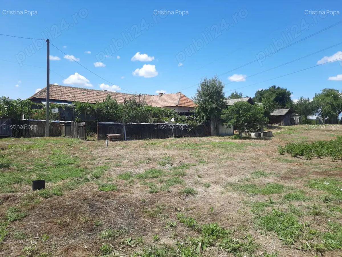 Casa cu teren de 5100 mp Babanei Romani - 6