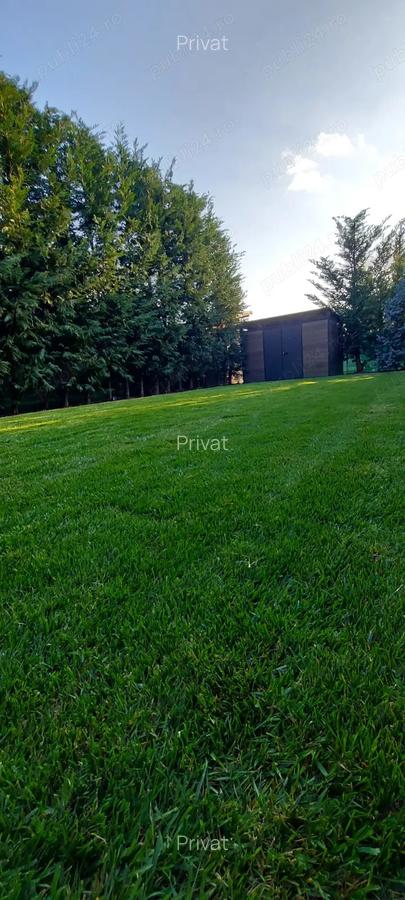 Confort, lini?te ?i intimitate Dumbravi?a in fa?a - 2