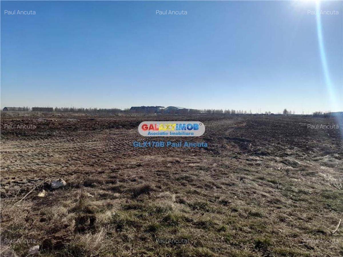 Teren Balotesti gard Therme 1 Ha str Petalelor cu str Fabricii - 2