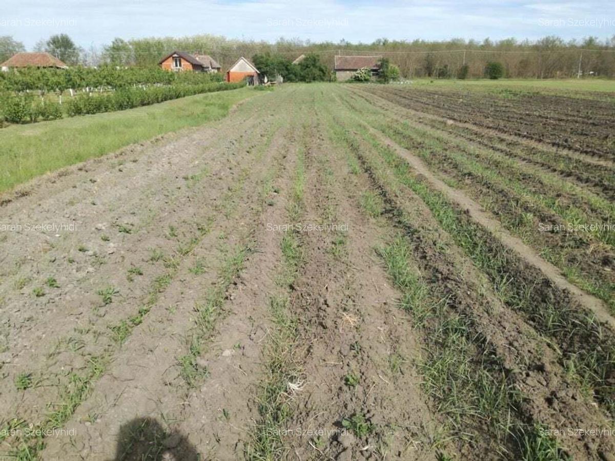 Ag BRASADAS vinde casa LOCUIBILA 3 cam teren 5.000 mp HOREA. - 5