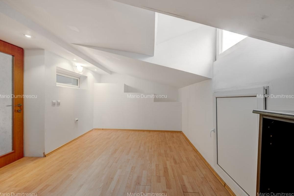 Vila de vanzare Domenii-Ion Mihalache - 13