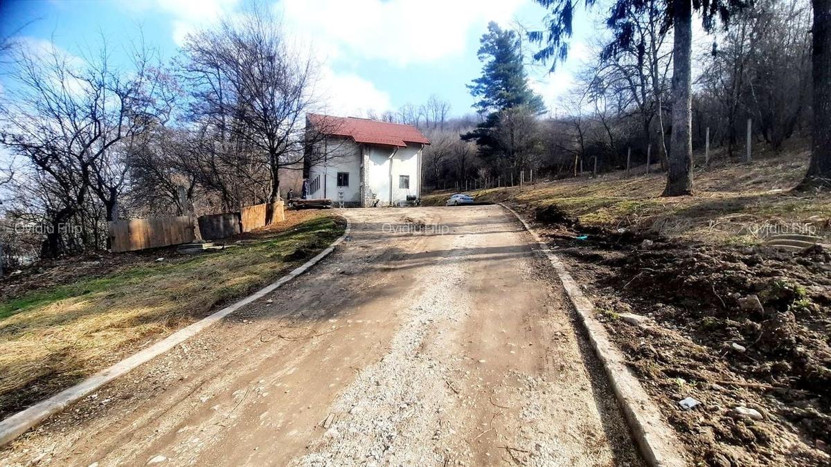 Spațiu industrial, 250 mp în Carierei - 2