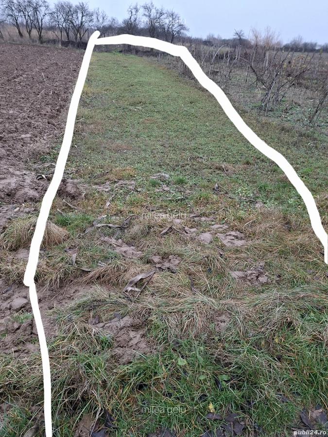 Casa batraneasca de vanzare com. Faraoani jud . Bacau - 3