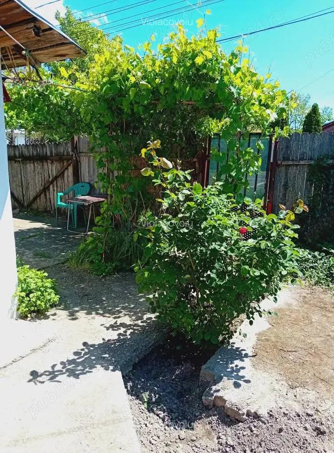 Vand casa cu 2 camere ,300 mp curte - 7