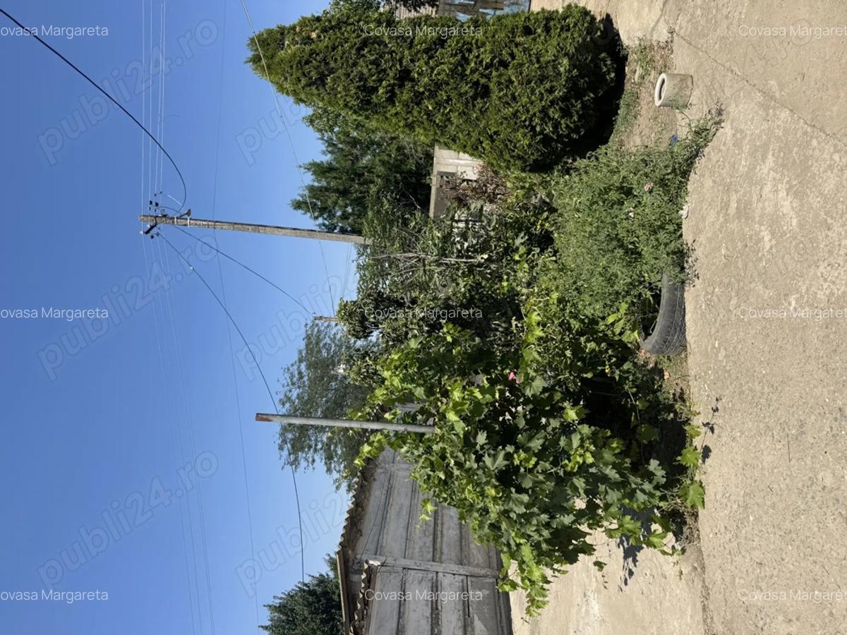 Casa de vanzare in sat Pietreni , jud Constan?a - 9
