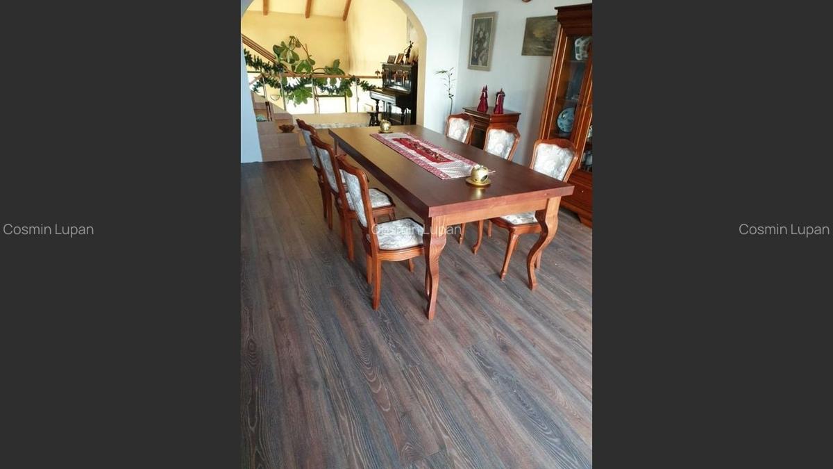 House for sale, 4 Rooms, 280 sqm, 690 sqm, Satu Mare - 4