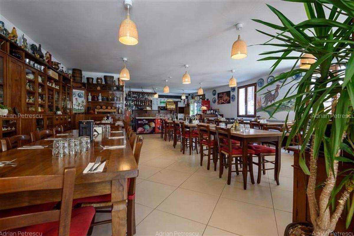 Langa Castelul Bran: Pensiune + restaurant + transfer afacere activa - 2