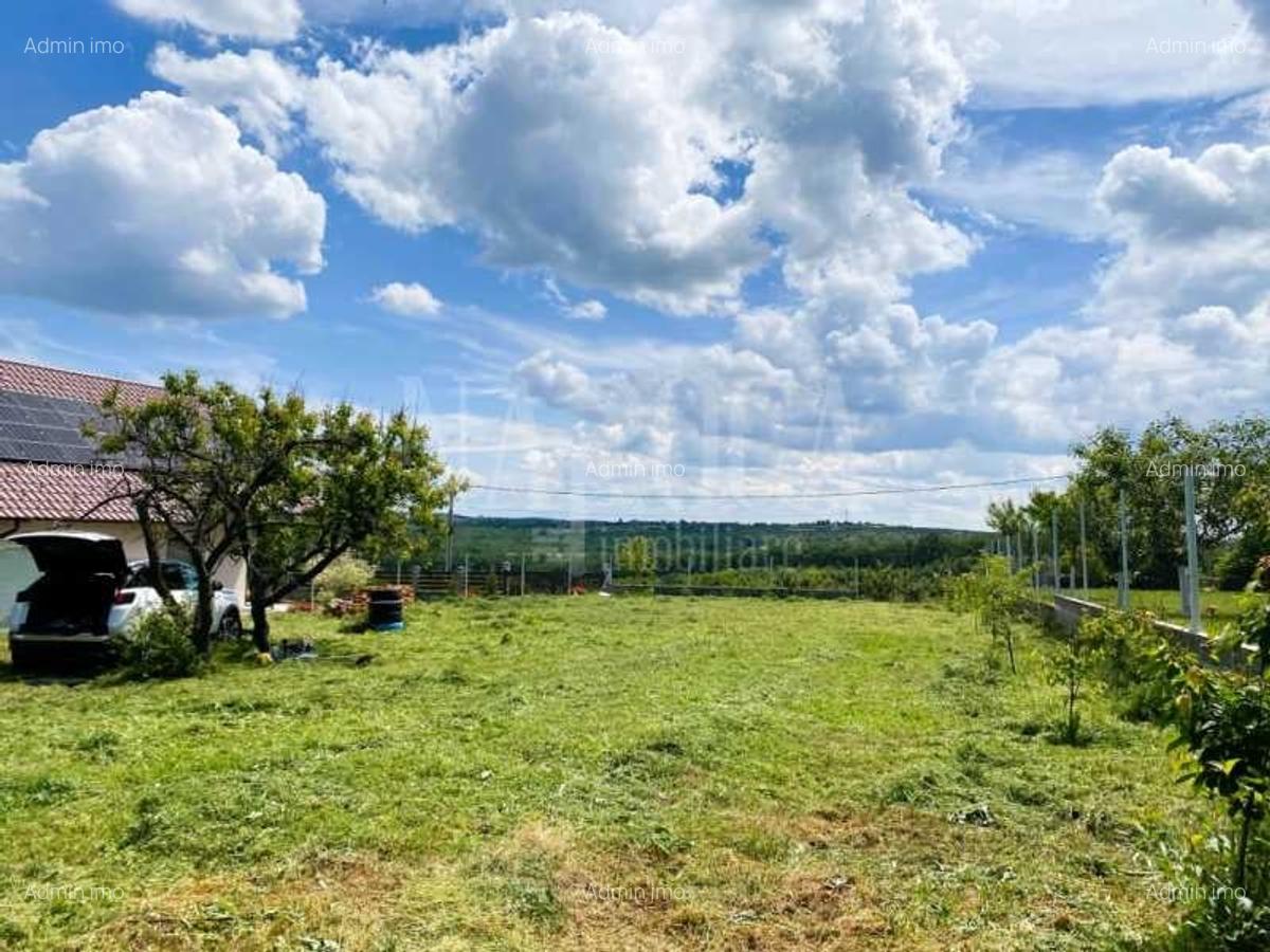 Teren intravilan pentru constructii de vanzare in Paleu - 3