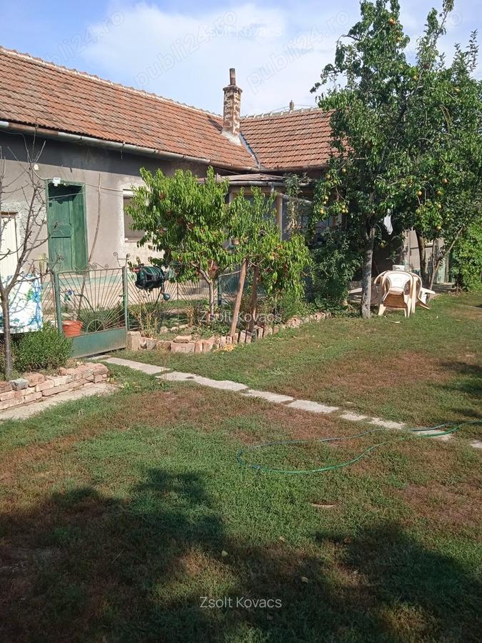 Vand casa la tara - 5 Vand casa la tara - 5