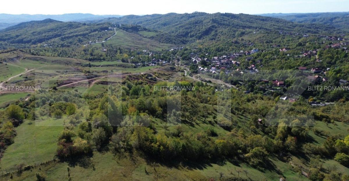 Teren extravilan, 41.631,00 mp, zona Pietrosita - 9