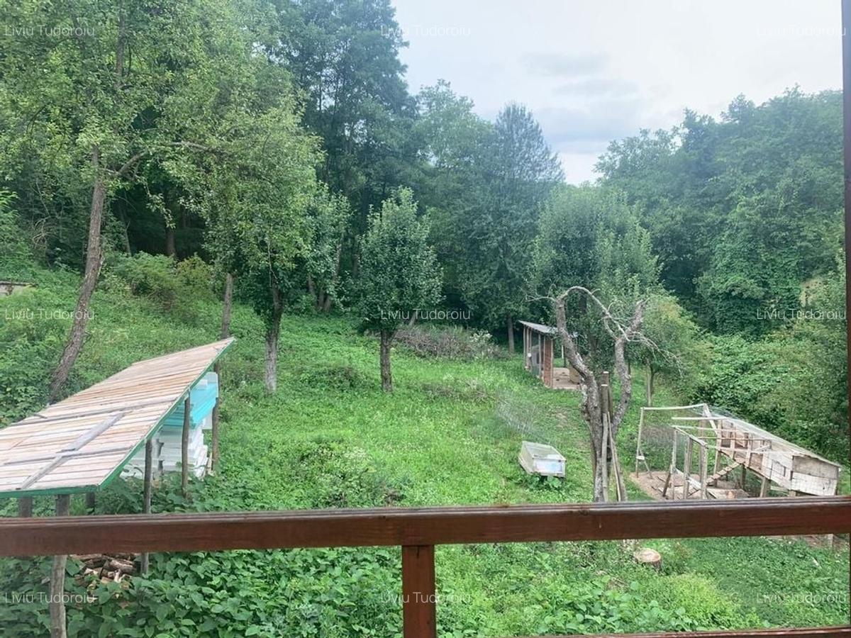 Casă de vânzare la liziera pădurii - Comuna Bogați, Argeș - 15