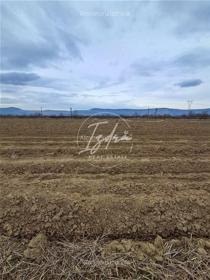 Teren extravilan Avrig - 5