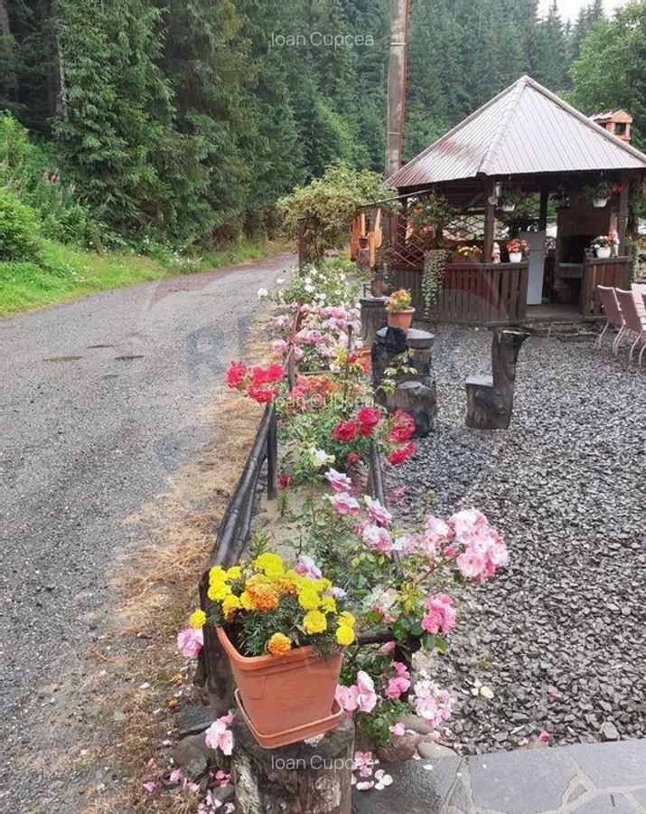 Ocazie! Pensiune 20 camere de vanzare in sta?iunea Izv... - 19