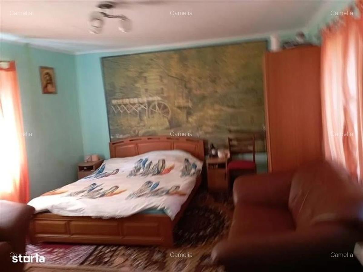 Casă cu 3500 mp Teren, Schitu-Golești, Argeș! - 17