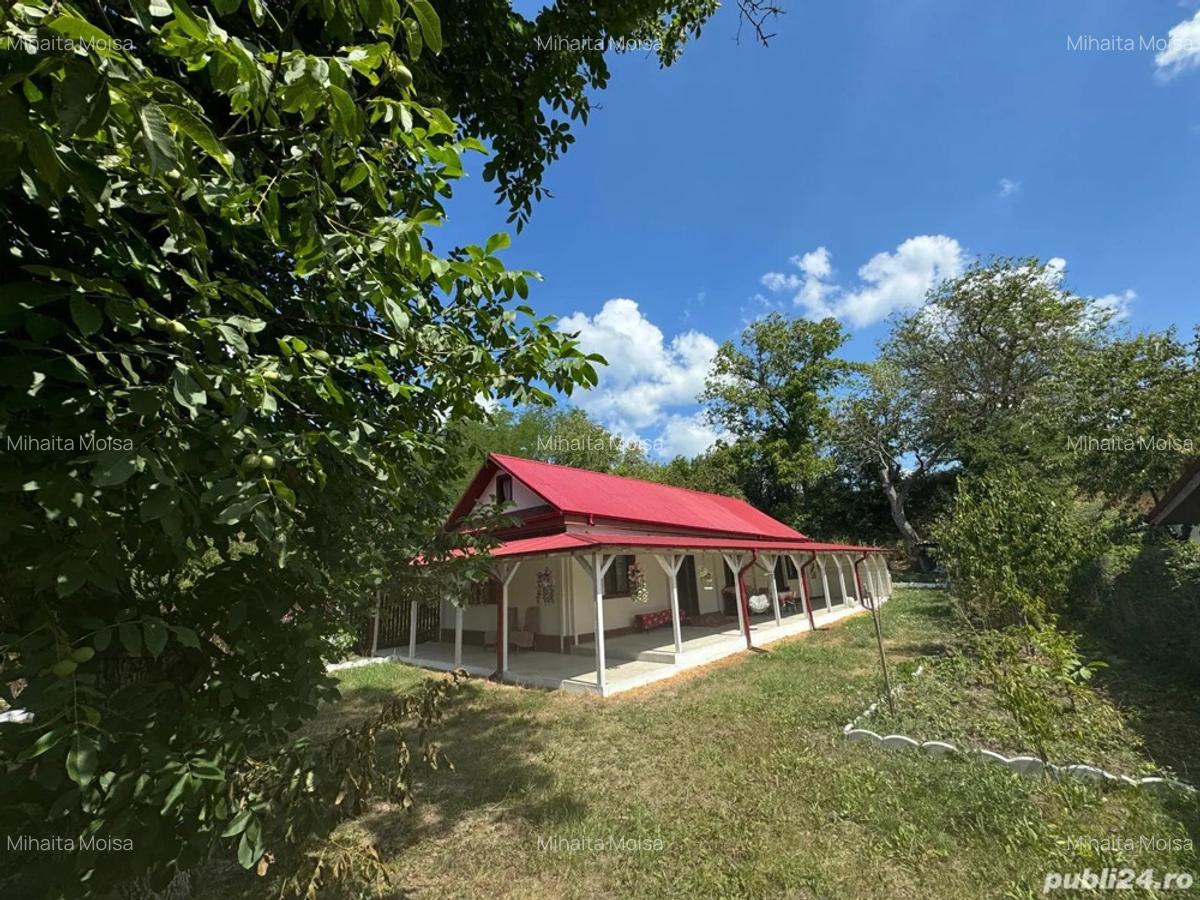 Casa de vacanta - 10