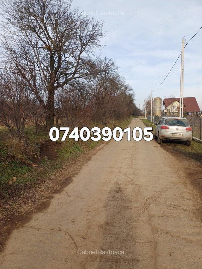 Teren 1950 mp Sorogari - 4