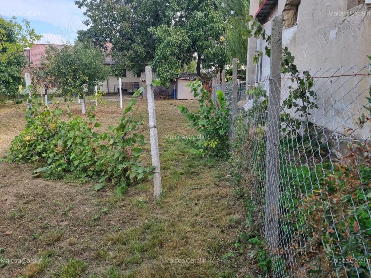 Vand schimb casa aproape de Dunare, muntii Macinului, zona viticola - 2