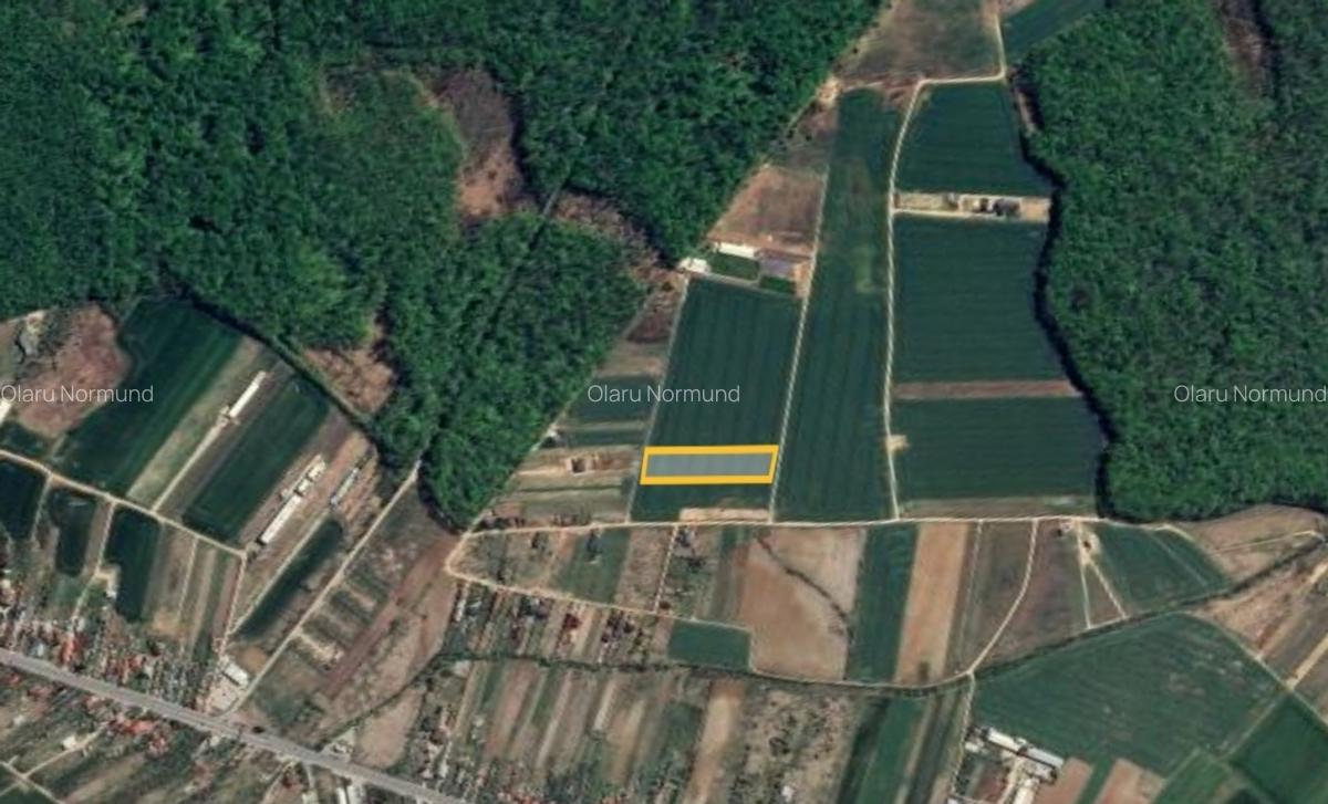 Loturi de teren la padure | 500-1000mp | Izvorani- Snagov - 2