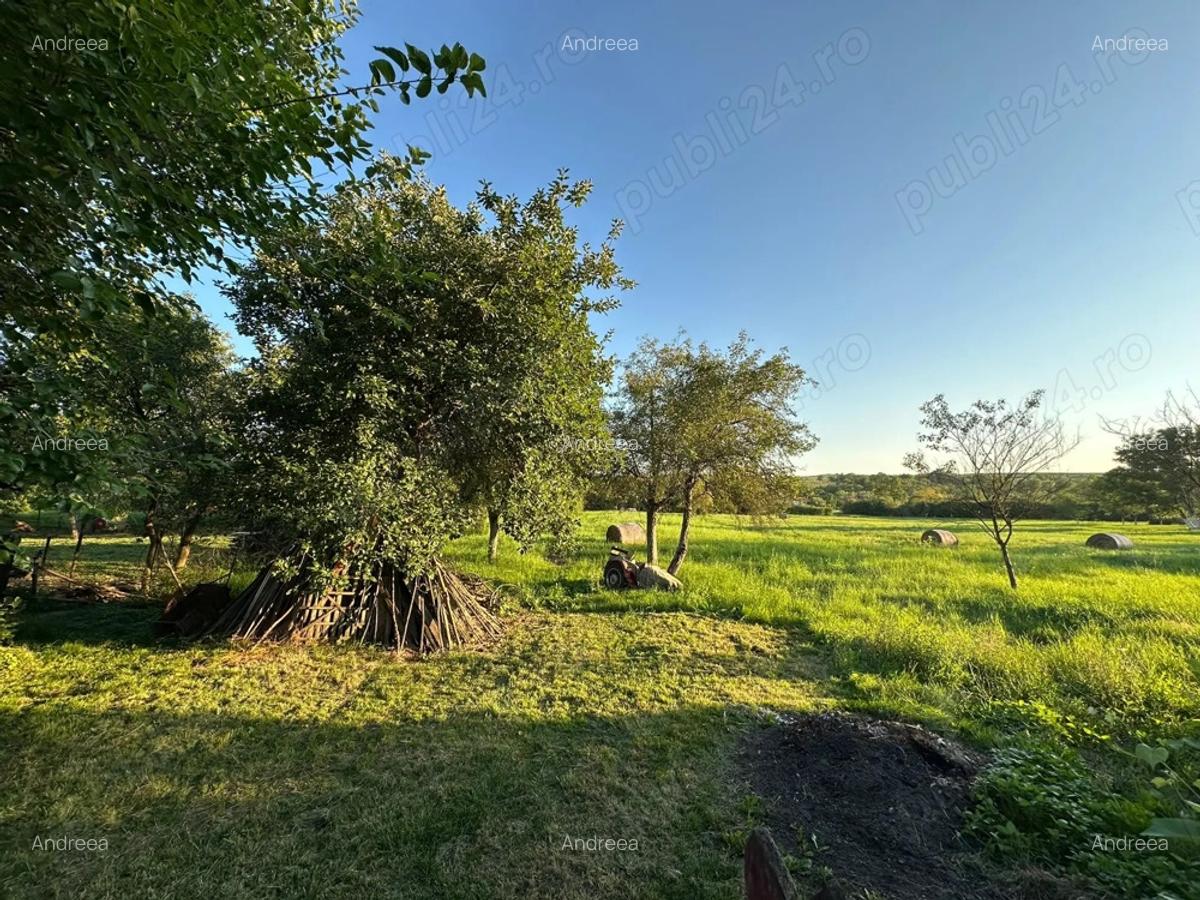 Casa de Vanzare Locuibila - 5