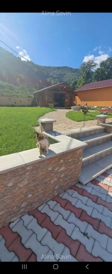 Casa  Asau + 4800 teren - 4