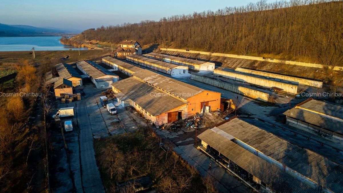 Fosta Ferma a Partidului de la Horgesti - de vanzare - 10