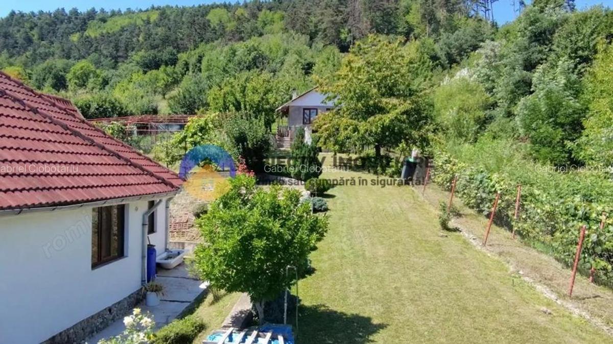 Casa + teren de vanzare - Garcina - 2