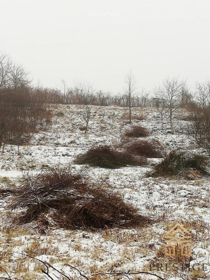 Teren intravilan de vanzare in zona Gheorghe Doja-Oradea - 4