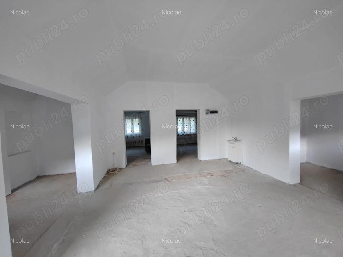 Gospodarie langa Deva - 8