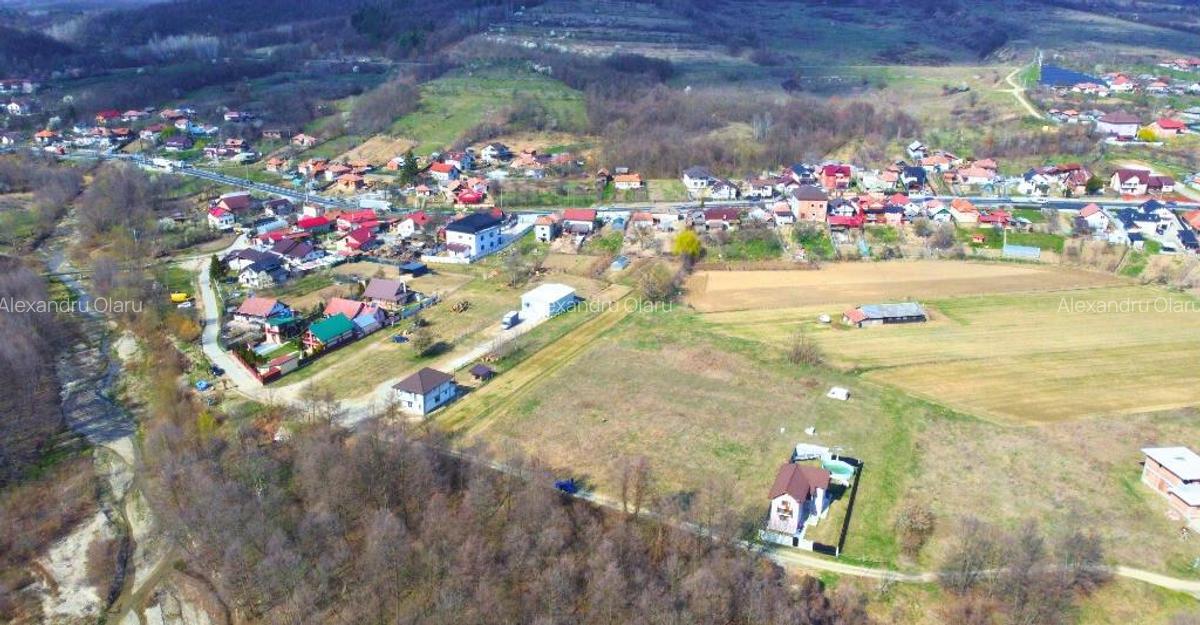 BUDESTI - TEREN 2550 MP - 3