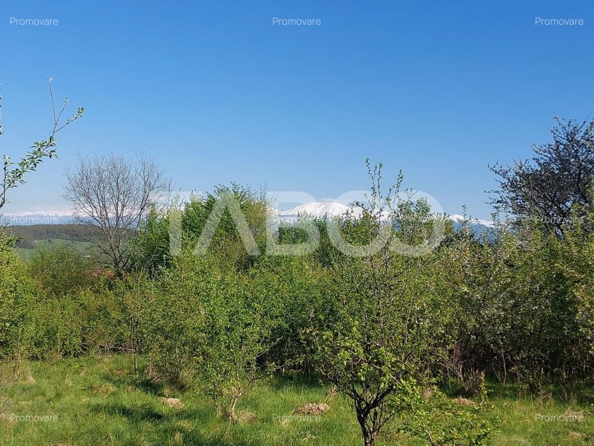 Teren 3445 mp pentru persoanele care doresc casa  cu teren generos - 4