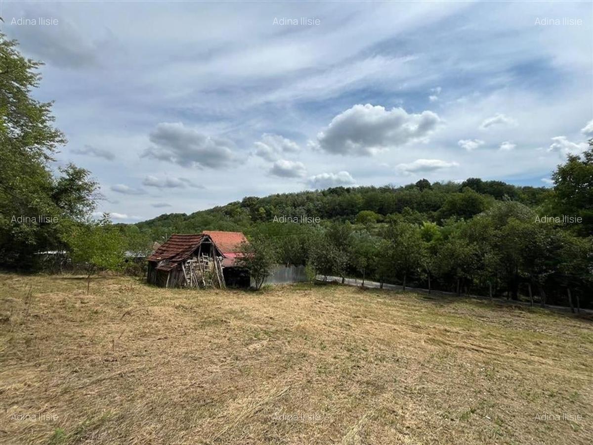 RECO Casa batraneasca cu teren generos la Lupoaia -Holod - 22