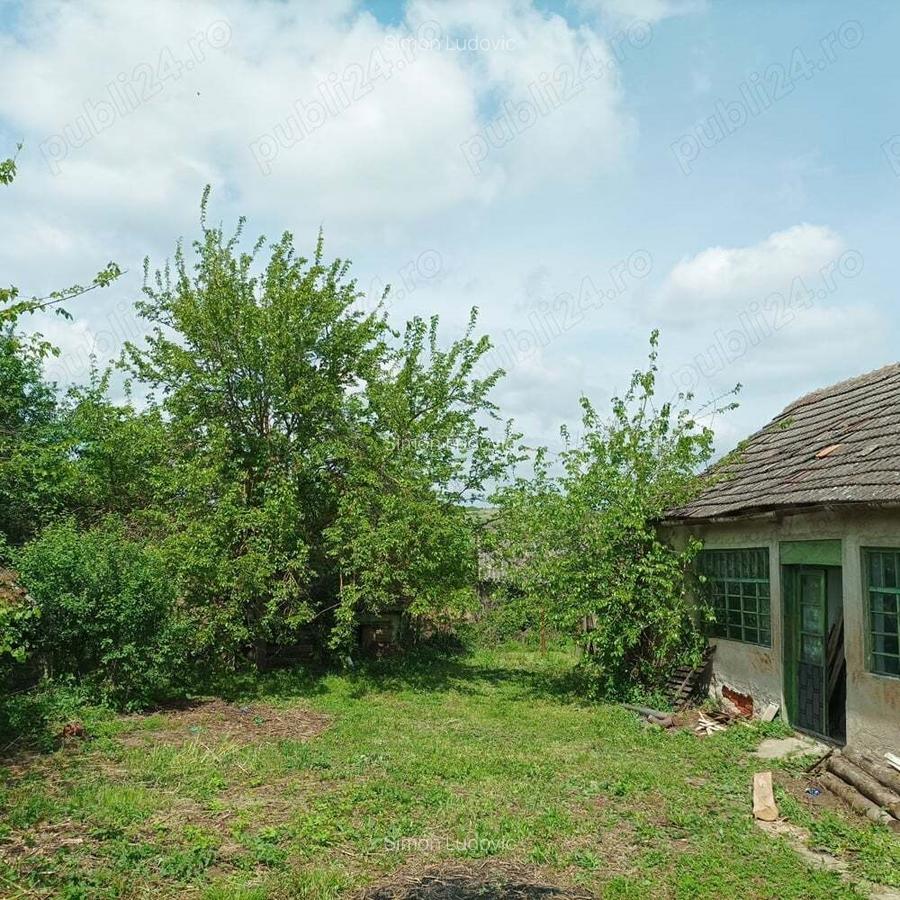 Vind casa cu gradina - 3