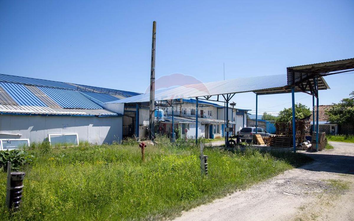 Comision 0 |Oportunitate : Hala Productie, hala depozit |... - 15