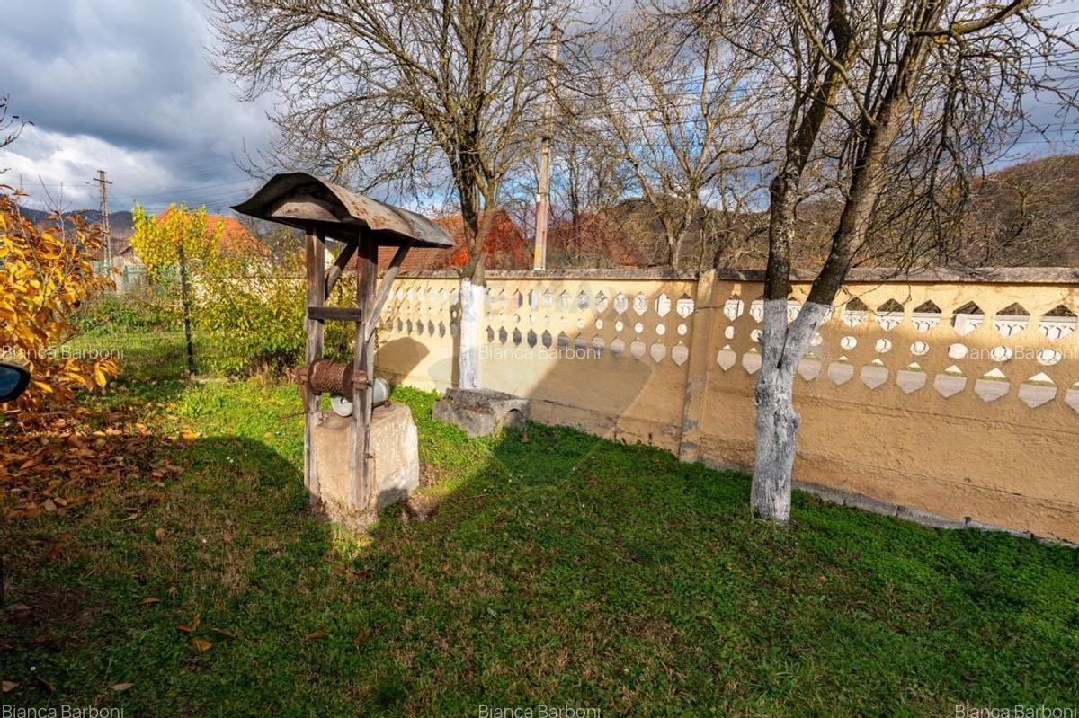 Casa de vanzare Certejul de sus,jud. Hunedoara - 21