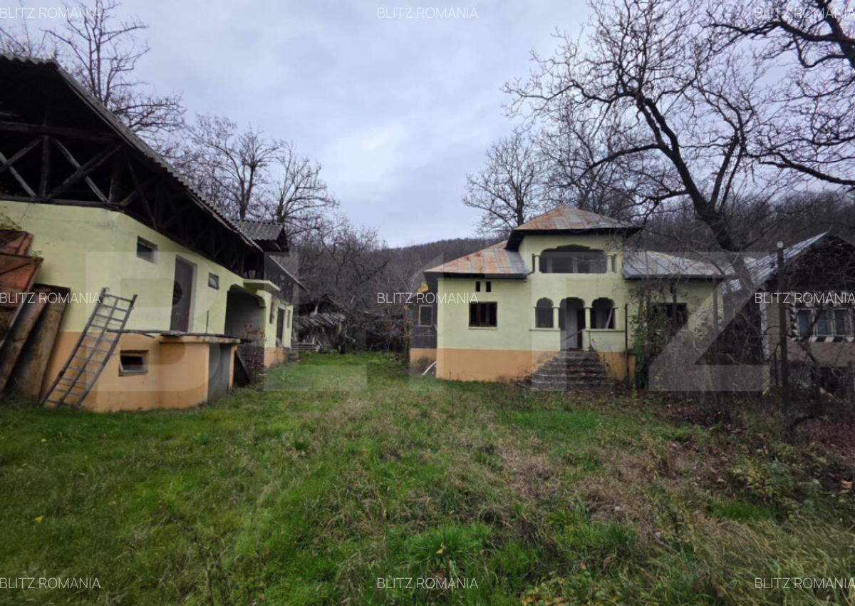 Casa + Teren 4.300 mp, Gheboieni la doar 15 km de Targ - 2