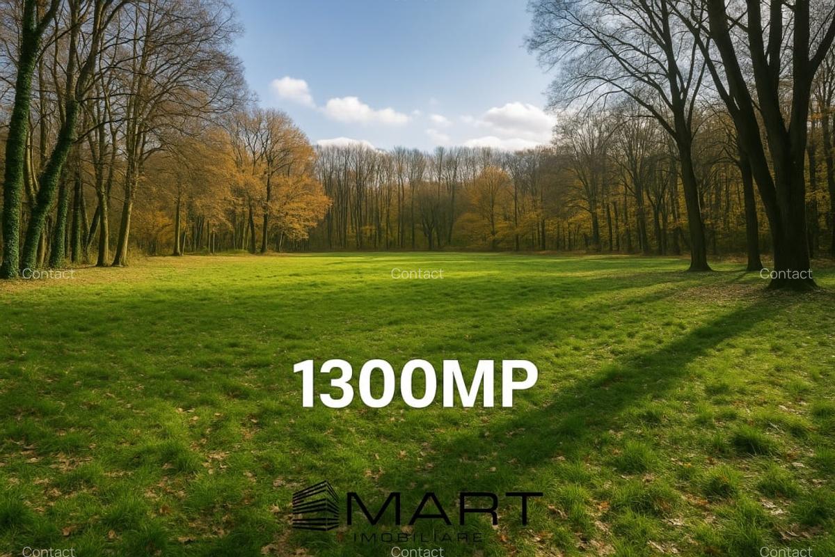 Teren cu vad exceptional 1300mp zona Subarini - 1