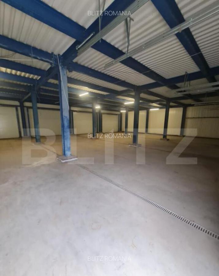Hala open space, 400 mp, inaltime 4,5 m, Luna de Sus - 9